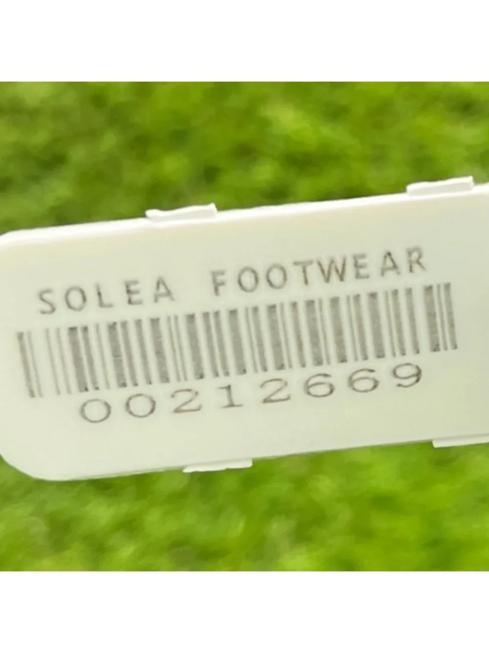 allbirds please review